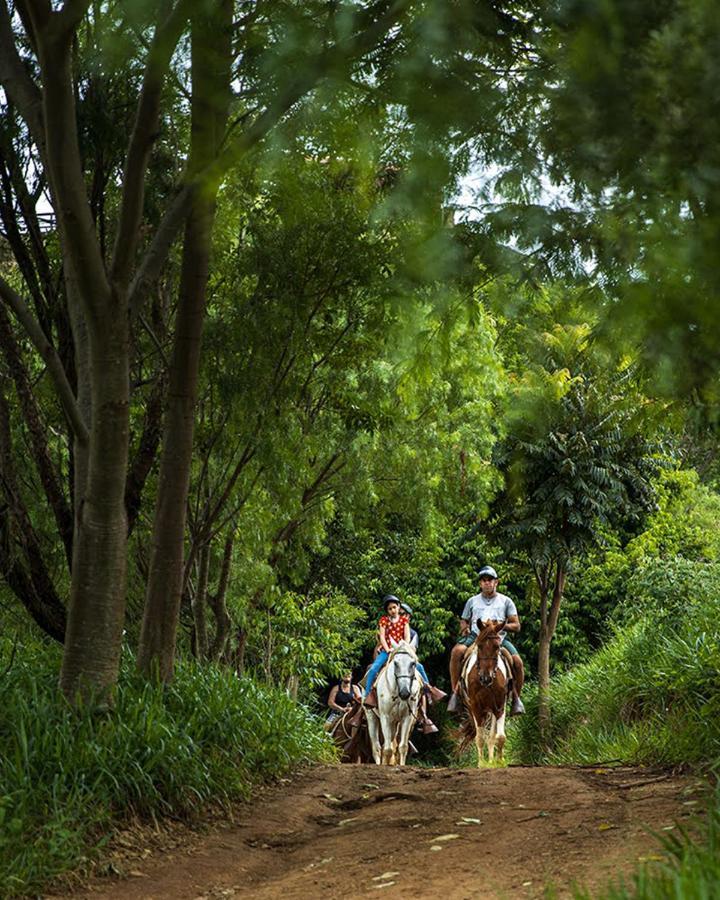 Fazenda Parque Dos Sonhos 5* Socorro (Sao Paulo)